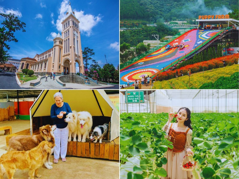 Tour Vũng Tàu Đà Lạt 2 ngày 1 đêm