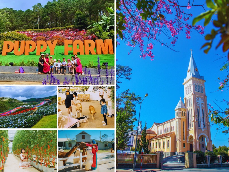 tour Đà Lạt 4 ngày 3 đêm trọn gói