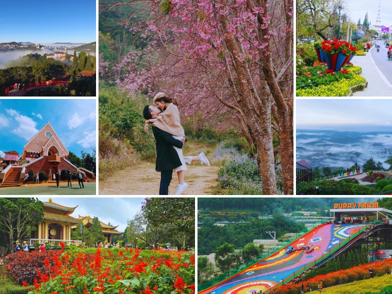 Tour du lịch Đà Lạt Tết Nguyên Đán