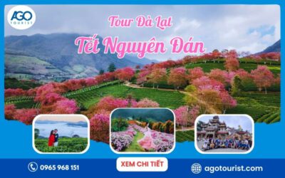 Tour Tết Đà Lạt Tour Tết Đà Lạt