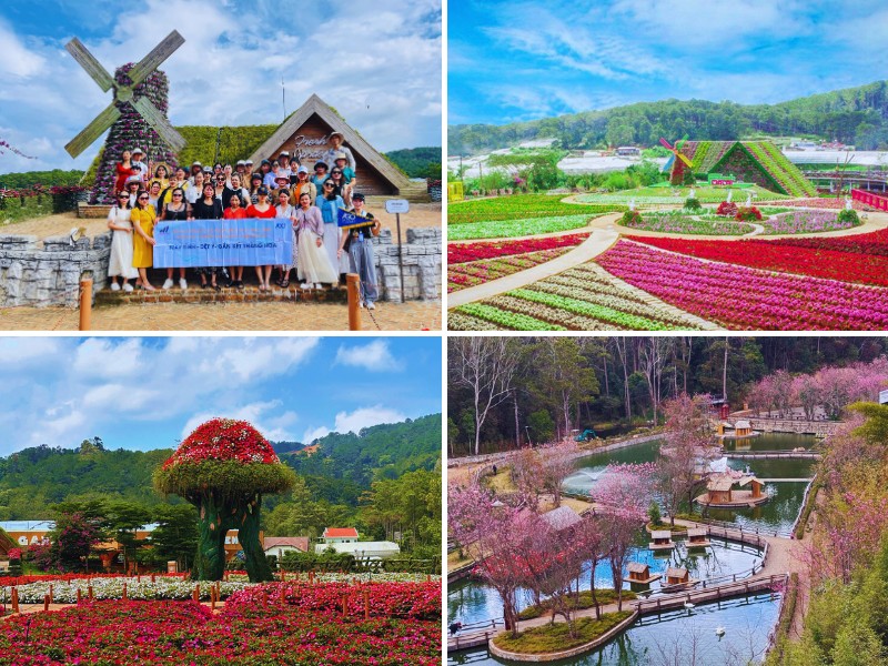 Tour du lịch Đà Lạt 3 ngày 2 đêm