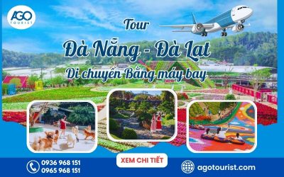 tour đà nẵng đà lạt máy bay