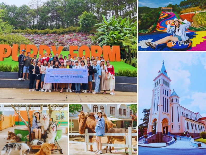 tour du lịch đà lạt 2 ngày 1 đêm