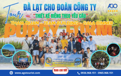 Tour Đà Lạt cho đoàn công ty