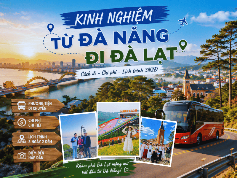 Kinh nghiệm từ Đà Nẵng đi Đà Lạt: Cách đi, chi phí và gợi ý lịch trình