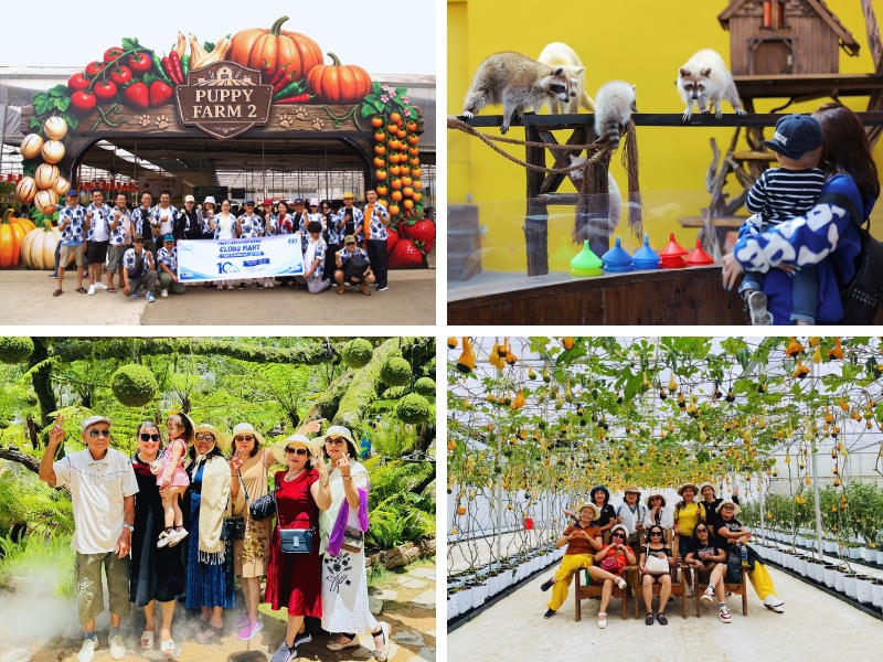 lịch trình tour Đà Lạt 3 ngày 2 đêm