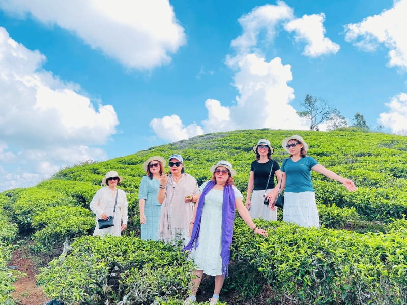 Tham quan đồi chè Cầu Đất trong tour 3 ngày 2 đêm ở Đà Lạt