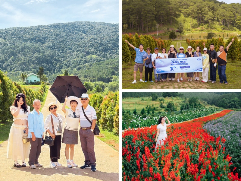 Tham quan The Forest - Hoa Trong Rừng trong lịch trình tour Đà Lạt 3 ngày 2 đêm